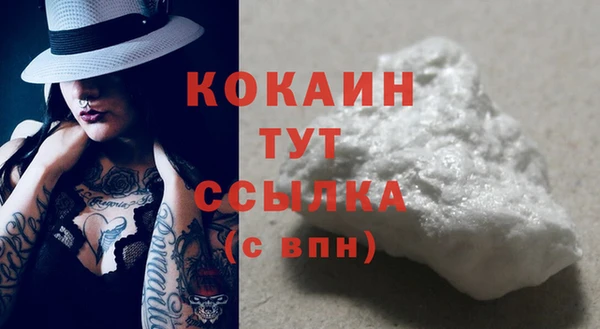 шишки Беломорск