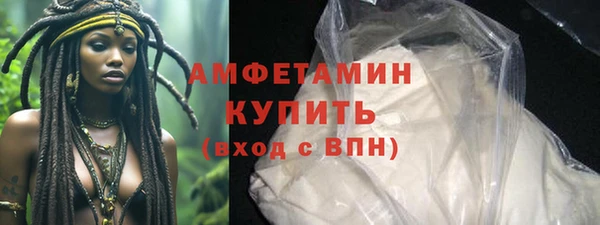 шишки Беломорск