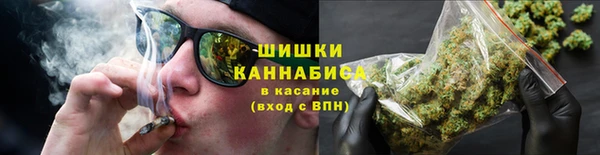 шишки Беломорск