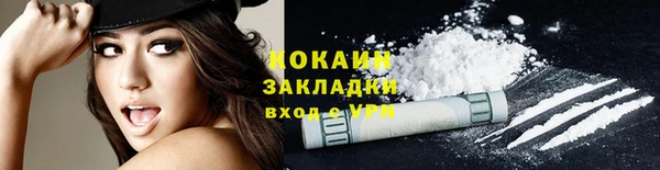 шишки Беломорск