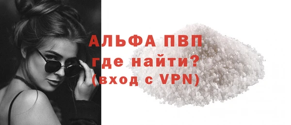 шишки Беломорск