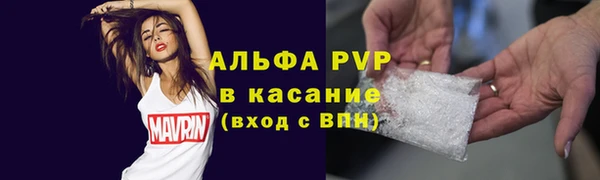 шишки Беломорск