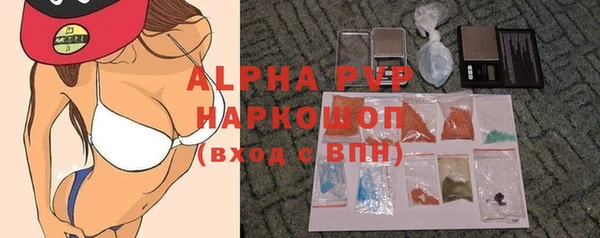 шишки Беломорск