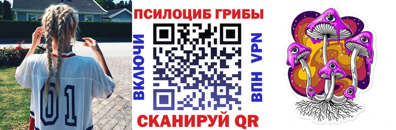 купить закладку  Невельск  Галлюциногенные грибы Cubensis 